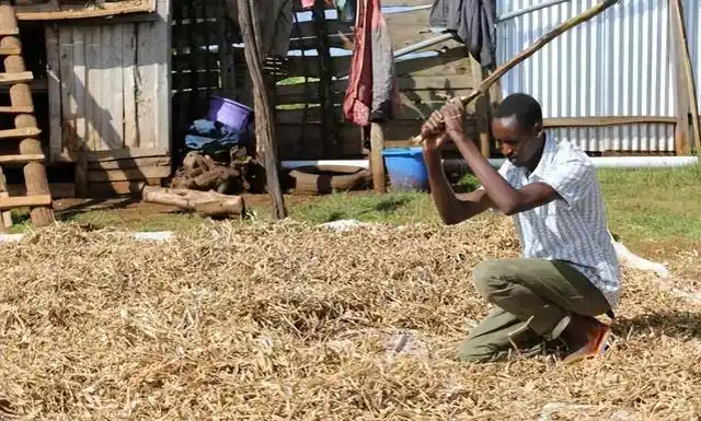 Brimin Kipkorir Misoi